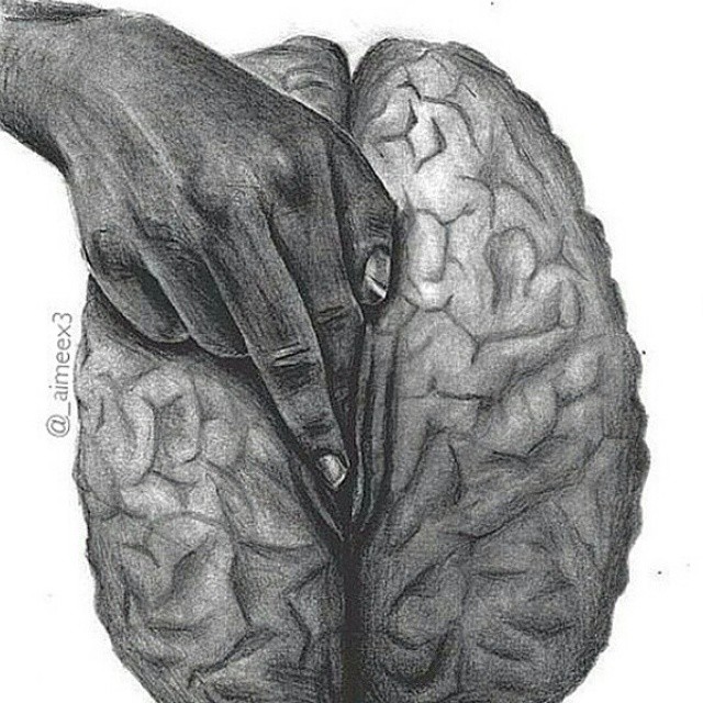 15742879160 5c7ba90a4c o