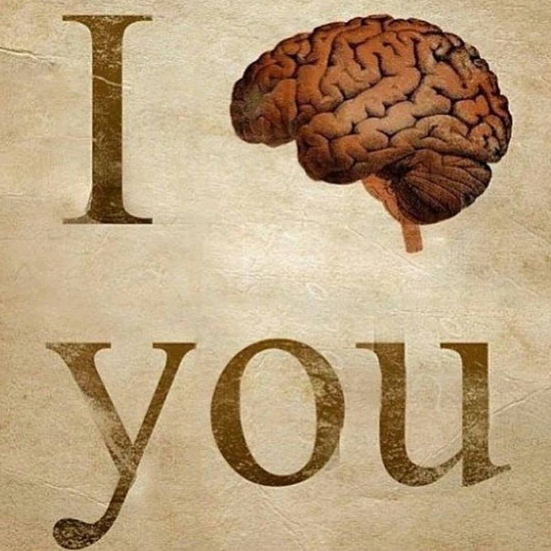 23126190365 fb49b4dd40 o